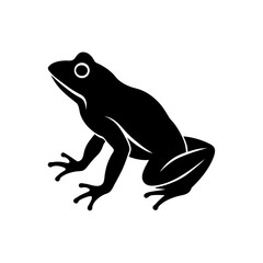 frog on a white background