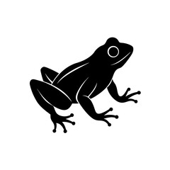 frog on white background