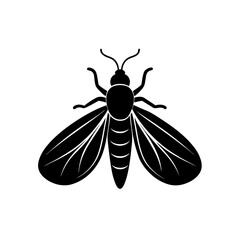 fly on white background