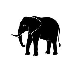 Fototapeta premium elephant vector illustration