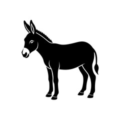 donkey cartoon illustration