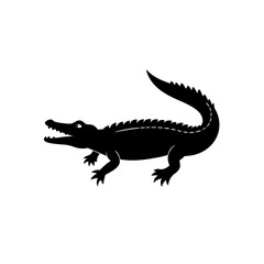 crocodile isolated on white background