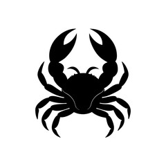 crab spider vector illustration