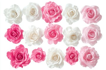 Obraz premium Pink white vintage roses flowers isolated on white background.