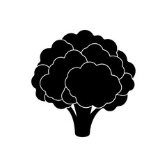 broccoli vector illustration
