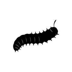 caterpillar on white background