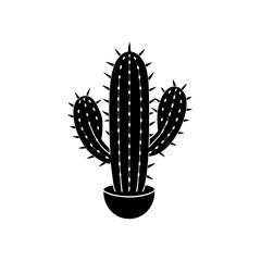 cactus isolated on white