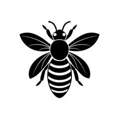bee and flower