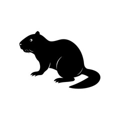 black cat silhouette