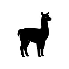 illustration of a alpaca