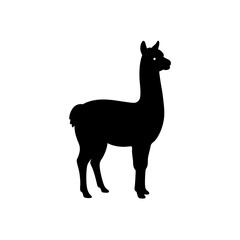 illustration of a alpaca