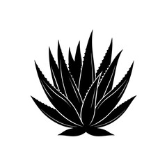 cannabis leaf vector illustration