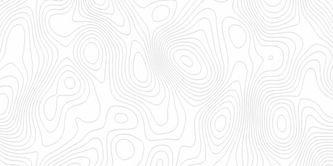 White topography topology vector white background fresh contour map texture. white seamless pattern Abstract background with a wave Topography and geography map grid abstract backdrop.