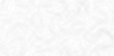 White topography topology vector white background fresh contour map texture. white seamless pattern Abstract background with a wave Topography and geography map grid abstract backdrop.