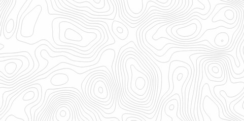 White topography topology vector white background fresh contour map texture. white seamless pattern Abstract background with a wave Topography and geography map grid abstract backdrop.