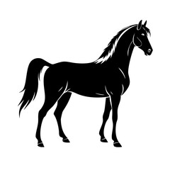 Obraz premium Graceful horse vector design