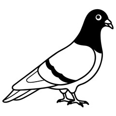 Obraz premium Pigeon Vector Illustration - Cartoon, Clipart, and Line Art Design for Print and Digital Use