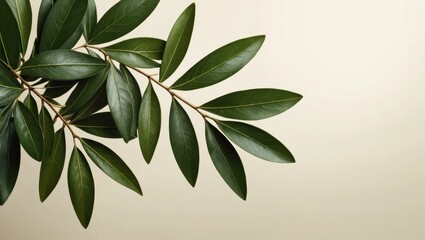 Lush green leaves branch against a light beige background