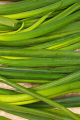 A close-up view of fresh green onions laid overlapping each other, highlighting their green leaves and texture