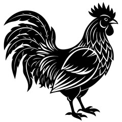 rooster isolated on white background