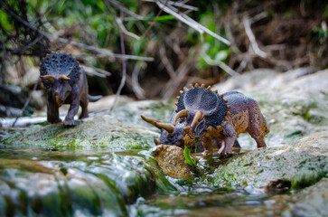 A realistic scene of Triceratops horridus models near a stream in a prehistoric setting. Ideal for paleontology, education, and natural history themes. Detailed and lifelike diorama