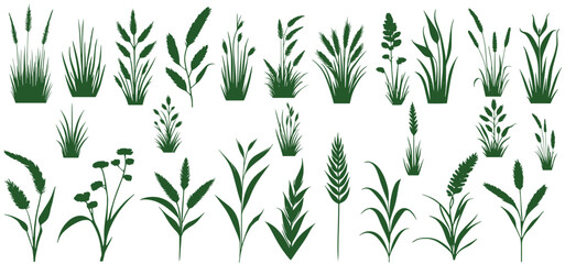 Vector set of green grass  isolated on white background, green grass natural, organic, bio, eco label and shape on white background