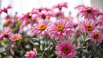 Fototapeta premium A profusion of blossoms, showcasing spring's arrival. A springtime display of delicate flowers.