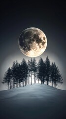 Snowy Hill, Full Moon Night