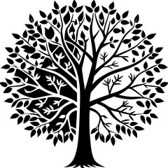 Obraz premium Misty evergreen forest, tranquil and serene