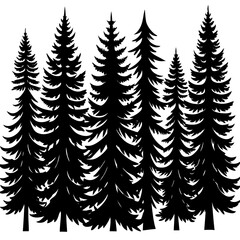 Obraz premium Misty evergreen forest, tranquil and serene