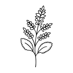 astilbe flower icon, astilbe flower line art - simple line art of astilbe flower, perfect for astilbe flower logos and icons