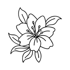 azalea flower icon, azalea flower line art - simple line art of azalea flower, perfect for azalea flower logos and icons