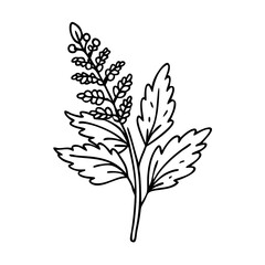 astilbe flower icon, astilbe flower line art - simple line art of astilbe flower, perfect for astilbe flower logos and icons