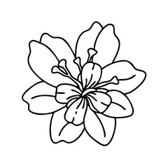 azalea flower icon, azalea flower line art - simple line art of azalea flower, perfect for azalea flower logos and icons