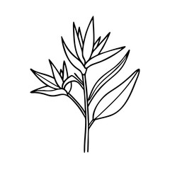 bird of paradise flower icon, bird of paradise flower line art - simple line art of bird of paradise flower, perfect for bird of paradise flower logos and icons