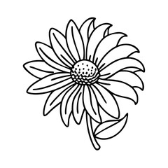coneflower echinacea flower icon, coneflower echinacea flower line art - simple line art of coneflower echinacea flower, perfect for coneflower echinacea flower logos and icons