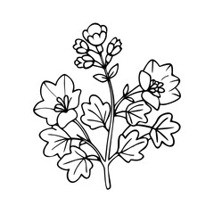 coral bells flower icon, coral bells flower line art - simple line art of coral bells flower, perfect for coral bells flower logos and icons