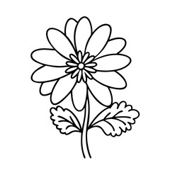 daisy flower icon, daisy flower line art - simple line art of daisy flower, perfect for daisy flower logos and icons