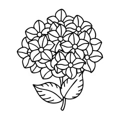 hydrangea flower icon, hydrangea flower line art - simple line art of hydrangea flower, perfect for hydrangea flower logos and icons