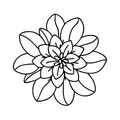 ixora flower icon, ixora flower line art - simple line art of ixora flower, perfect for ixora flower logos and icons