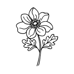 japanese anemone flower icon, japanese anemone flower line art - simple line art of japanese anemone flower, perfect for japanese anemone flower logos and icons