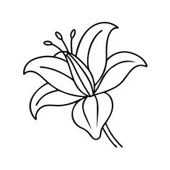 lily flower icon, lily flower line art - simple line art of lily flower, perfect for lily flower logos and icons