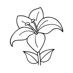 lily flower icon, lily flower line art - simple line art of lily flower, perfect for lily flower logos and icons