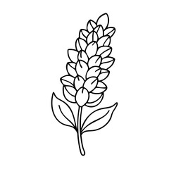 lupine flower icon, lupine flower line art - simple line art of lupine flower, perfect for lupine flower logos and icons