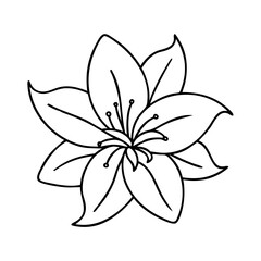 Obraz premium lily flower icon, lily flower line art - simple line art of lily flower, perfect for lily flower logos and icons