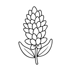 lupine flower icon, lupine flower line art - simple line art of lupine flower, perfect for lupine flower logos and icons