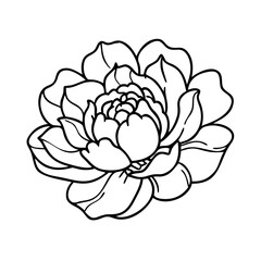 peony flower icon, peony flower line art - simple line art of peony flower, perfect for peony flower logos and icons