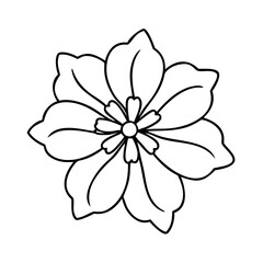 phlox flower icon, phlox flower line art - simple line art of phlox flower, perfect for phlox flower logos and icons