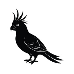 cockatiel silhouette art