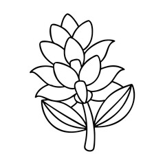 yucca flower icon, yucca flower line art - simple line art of yucca flower, perfect for yucca flower logos and icons